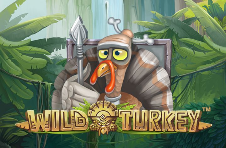 slot gratis wild turkey