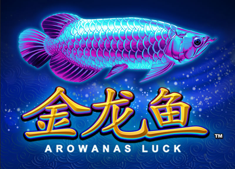 slot arowanas luck