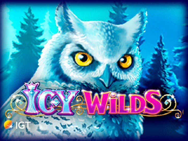 slot machine online icy wild