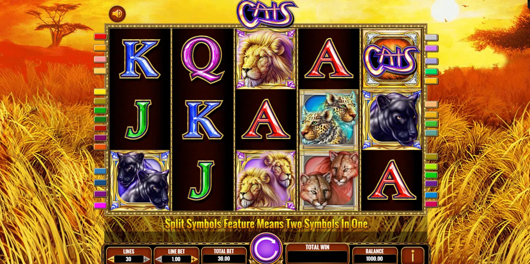 griglia slot machine cats